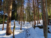 Sulle nevi del Monte Zucco da S. Antonio Abbandonato il 20 febbraio 2026 - FOTOGALLERY
